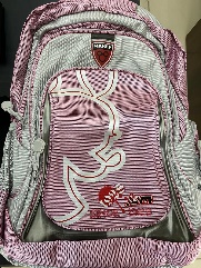 School Trolly Bag